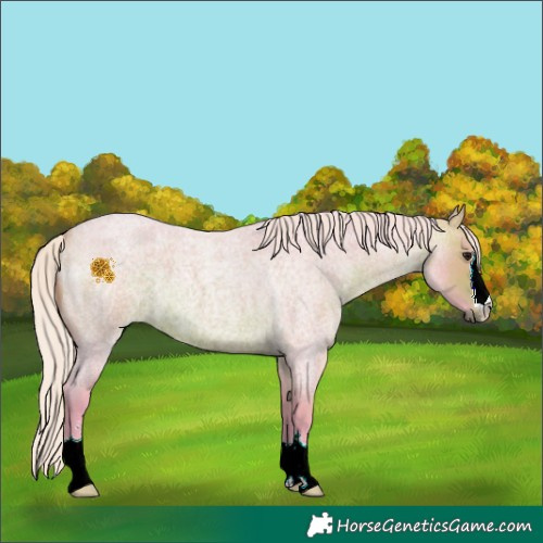 Horse Color:Watercolor Silver Brown Roan 