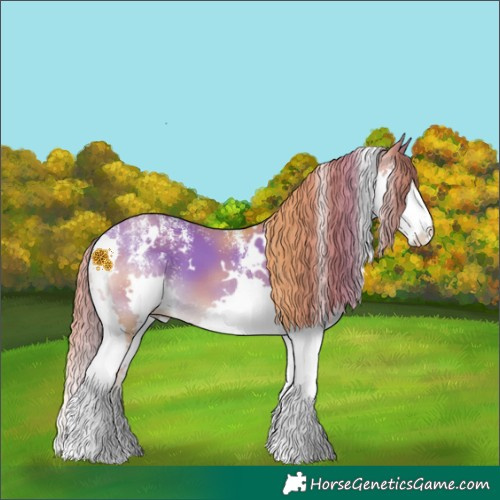 Horse Color:Powder White White Spotted Chestnut Splash