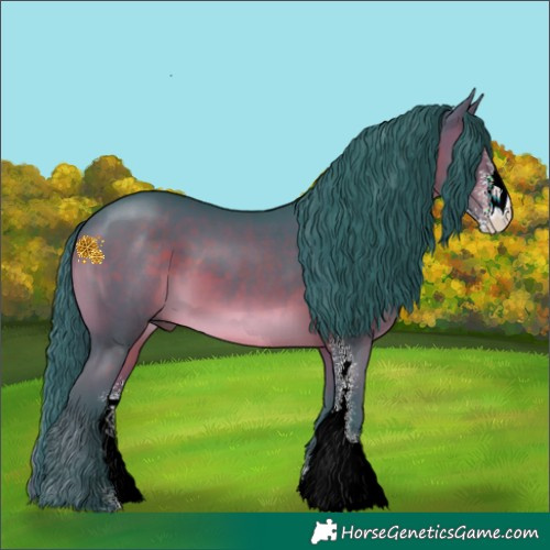 Horse Color:Watercolor Brown Sabino