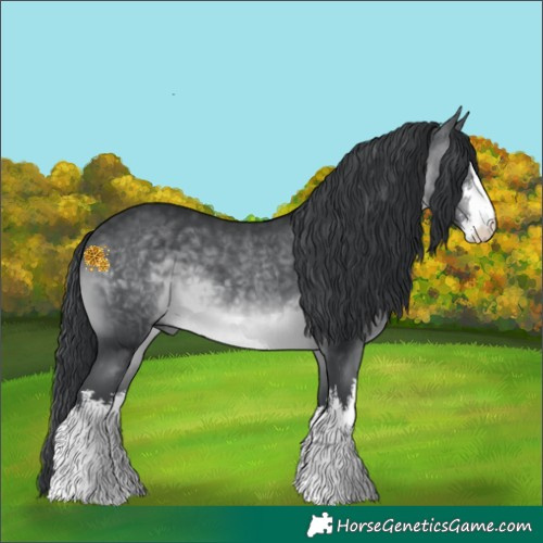 Horse Color:White Spotted Brown Chinchilla 