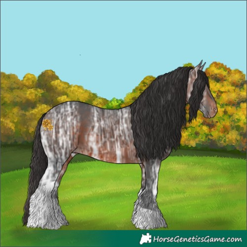 Horse Color:Brown Ice Tobiano Varnish