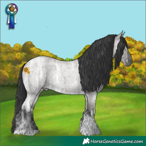 Horse Color:Grullo Ice Roan Tobiano Rabicano 