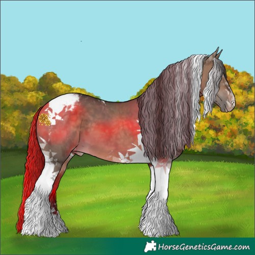 Horse Color:Brown Dun Tobiano Appaloosa 