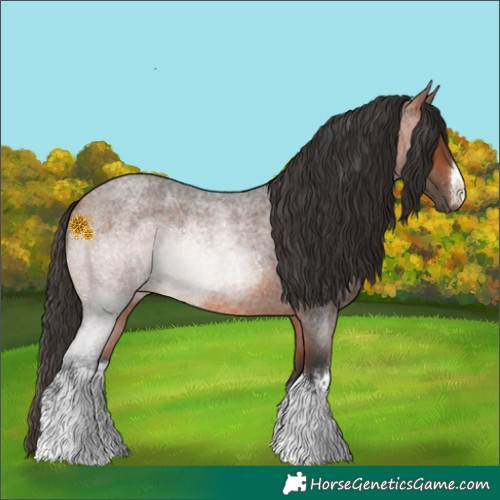 Horse Color:White Spotted Bay Roan 