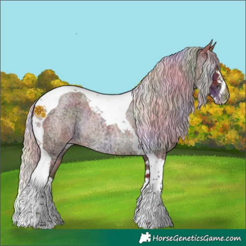 Horse Color:Nacre Silver Bay Ice Roan Splash Tobiano Appaloosa Rabicano 