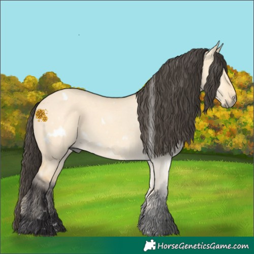 Horse Color:White Spotted Buckskin Dun