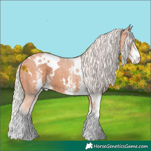 Horse Color:White Spotted Silver Bay 