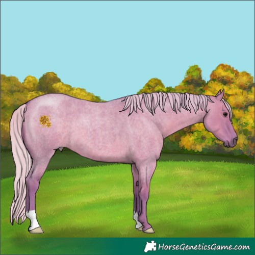 Horse Color:Watercolor Silver Grullo Roan