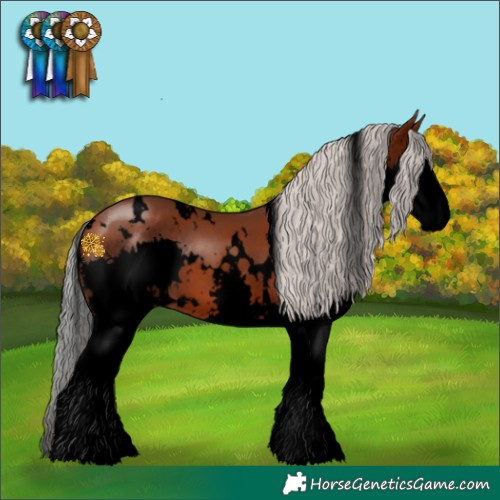 Horse Color:Void White Spotted Silver Brown Splash