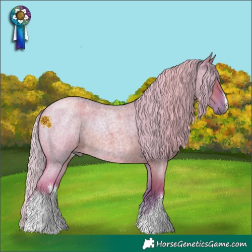 Horse Color:Watercolor White Spotted Silver Grullo Roan