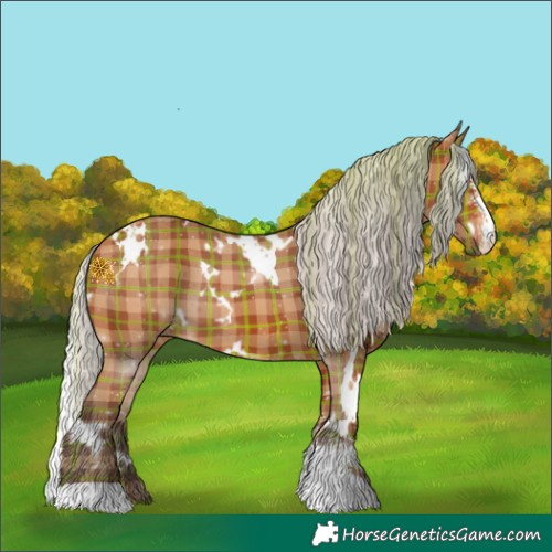 Horse Color:Plaid  White Spotted Silver Bay Sabino 