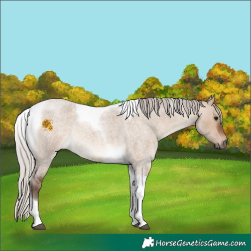 Horse Color:Silver Brown Roan Dun Tobiano 