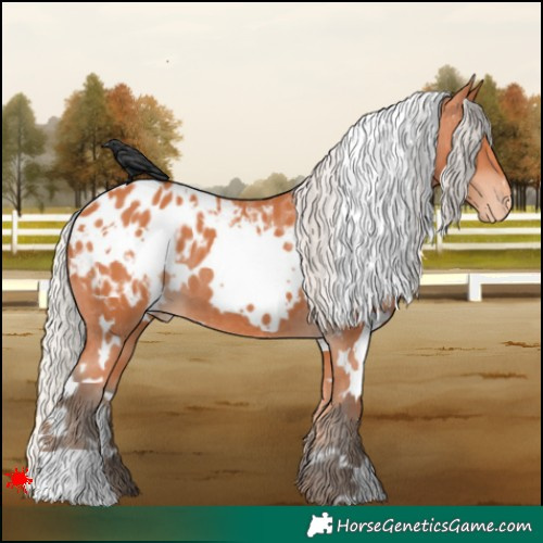 Horse Color:White Spotted Silver Bay Blanket 