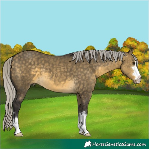Horse Color:Silver Buckskin Dun 