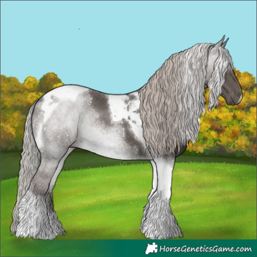 Horse Color:Silver Black Tobiano