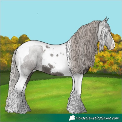 Horse Color:Silver Black Tobiano 