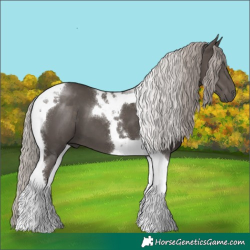 Horse Color:Silver Black Tobiano