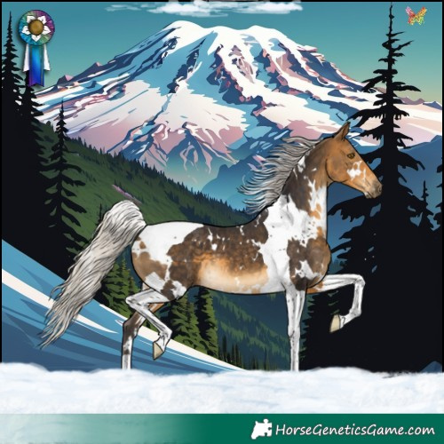 Horse Color:White Spotted Silver Buckskin Tobiano 