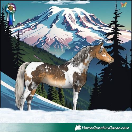 Horse Color:White Spotted Silver Buckskin Tobiano