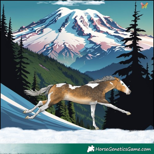 Horse Color:Silver Buckskin Splash Tobiano