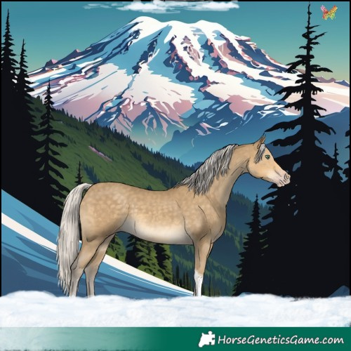 Horse Color:Silver Classic Cream Champagne Tobiano