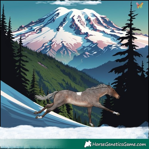 Horse Color:Silver Brown Roan Tobiano