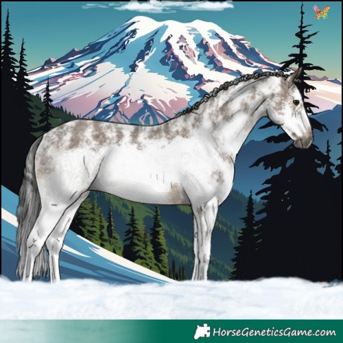 Horse Color:Gray Brown Dun Sabino Splash Frame
