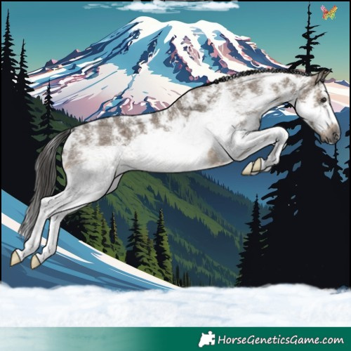 Horse Color:Gray Brown Dun Sabino Splash Frame 