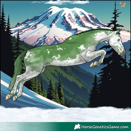 Horse Color:Watercolor White Spotted Black Splash 
