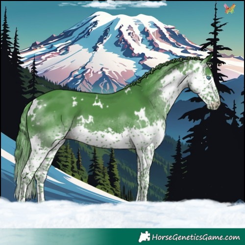 Horse Color:Watercolor White Spotted Black Splash