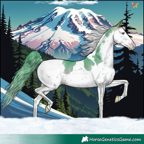 Horse Color:Watercolor White Spotted Brown Splash Tobiano Rabicano