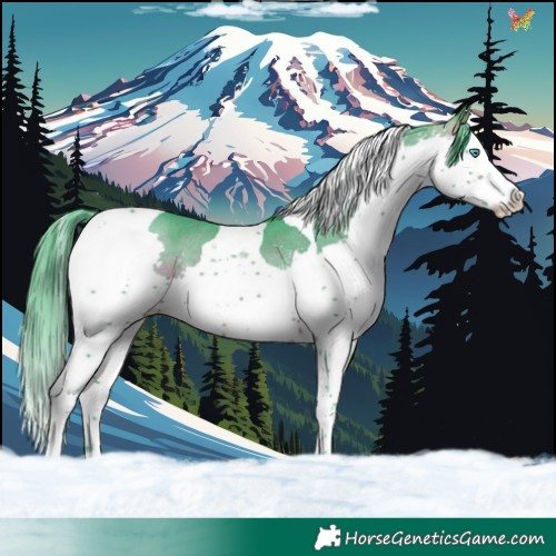 Horse Color:Watercolor White Spotted Brown Splash Tobiano Rabicano 
