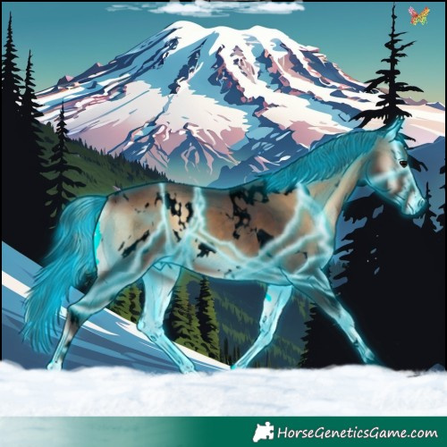 Horse Color:Void Thunderstruck White Spotted Brown Onyx