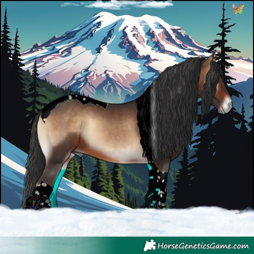 Horse Color:Brown Onyx Tobiano