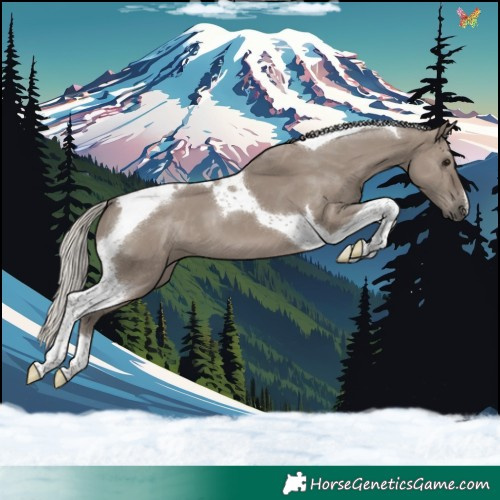 Horse Color:Silver Grullo Tobiano 