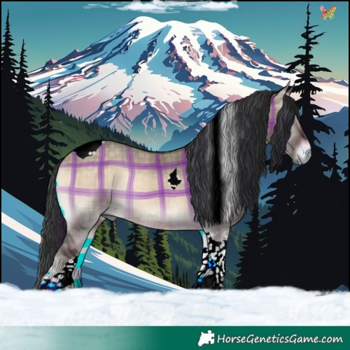 Horse Color:Plaid Brown Onyx Tobiano