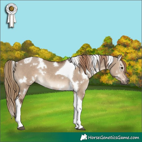 Horse Color:White Spotted Liver Red Dun Tobiano Rabicano