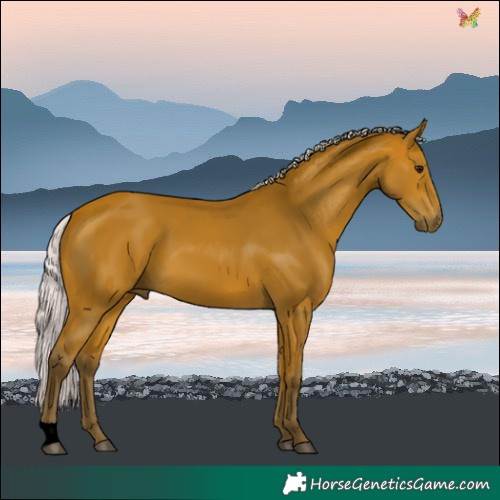 Horse Color:Silver Bay
