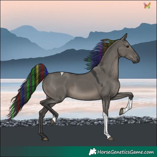 Horse Color:Painted Grullo Tobiano