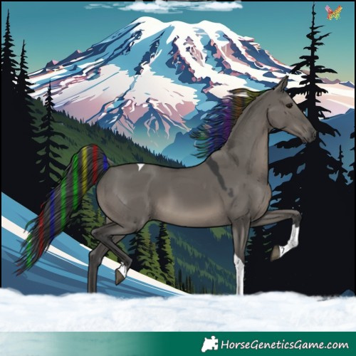 Horse Color:Painted Grullo Tobiano 