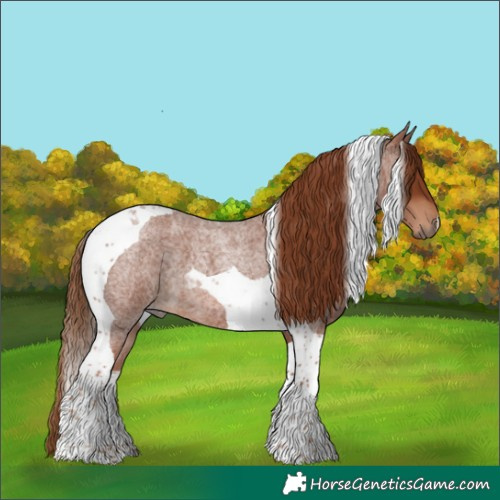 Horse Color:Red Roan Tobiano