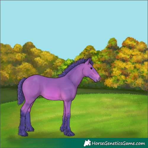 Horse Color:Watercolor White Spotted Bay 