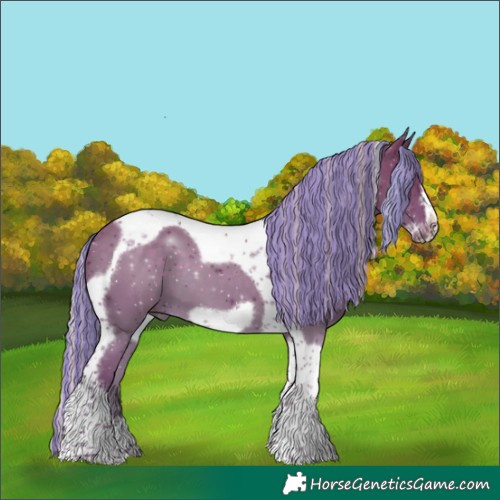 Horse Color:Painted Silver Black Tobiano Frame 