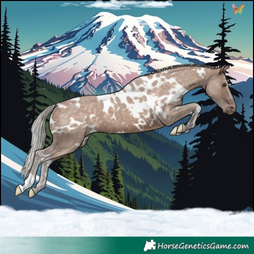 Horse Color:White Spotted Silver Brown Dun Skewed Appaloosa