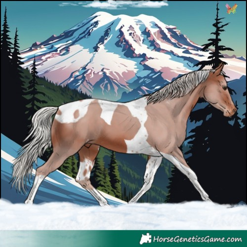 Horse Color:Silver Brown Tobiano Skewed LP Spotted