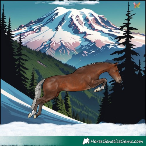 Horse Color:Silver Brown 