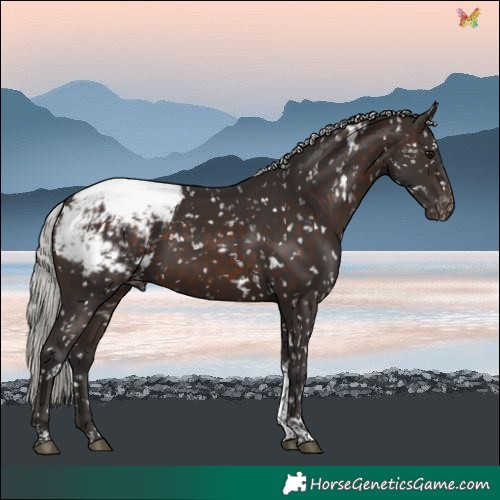 Horse Color:White Spotted Silver Brown Tobiano Snowcap 
