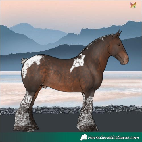 Horse Color:Silver Brown Tobiano Varnish Rabicano