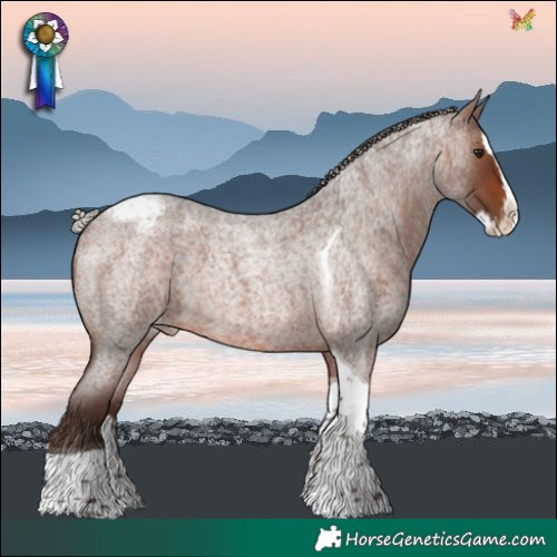 Horse Color:Silver Brown Roan Splash Tobiano Varnish Rabicano