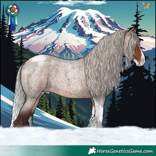 Horse Color:Silver Brown Roan Splash Tobiano Appaloosa Rabicano